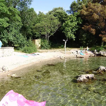 Apartament In 33579 *