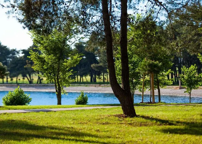 Apartamento Stelio 33579