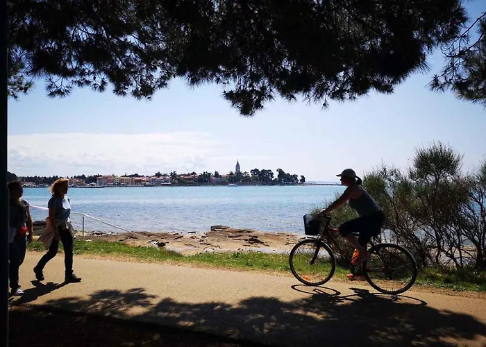 Stelio 33579 Apartamento