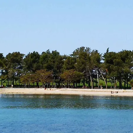 Apartments Stelio 33579 아파트 *